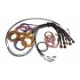 Haltech HT-185201 NEXUS R5 Universal Wire-In Harness - 5M (16ft)