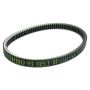 Athena S41PLAT049 Transmission Belts
