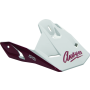 Answer 446041 Visors