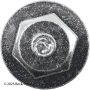 BECK/ARNLEY 016-0116 OIL DRAIN PLUG