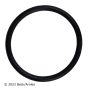 BECK/ARNLEY 158-0894 FUEL INJ O-RING KIT