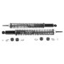 Monroe Shocks & Struts 58629 Load Adjusting Rear Suspension Shock Absorber and Coil Spring Assembly Pack of 2