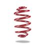 Pedders Rear Coil Spring 04-06 Pontiac GTO X-Drag