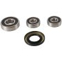 Pivot Works PWRWS-S10-000 90-96 Suzuki DR650RS (Euro) PW Rear Wheel Bearing Kit