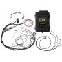 Haltech HT-150978 Elite 1500 Terminated Harness ECU Kit w/ Square EV1 Injector Connectors