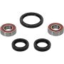 Pivot Works 25-1052-P Wheel Bearing Kit