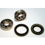 SKF BK5 Wheel Bearing Kit