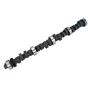 COMP CAMS COM34-236-4 BBF Xtreme Marine Hyd. Cam XM270H