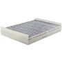 Bosch C3789WS Activated Charcoal Cabin Air Filter