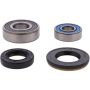 Pivot Works 25-1500-P Wheel Bearing Kit