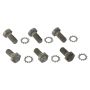 MOROSO MOR38755 12 Pt Flywheel Bolts