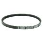 Athena S41PLAT028 Transmission Belts