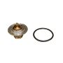 CRP PRODUCTS CTI0006 Rein OE Quality Thermostat Insert