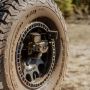 KC HiLiTES 7477 21-24 Ford Bronco Spare Tire Carrier Light Mount w/ M12x1.5 Lug Nuts