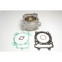 Athena EC250-002 Std Bore Cylinder Kits