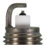 Champion Spark Plug 3455