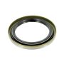 SKF 15807 Seal