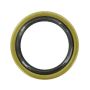 SKF 15807 Seal