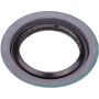 SKF 16599 SKF Seal 16599 For dodge Chrysler Plymouth