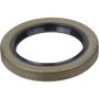 SKF 16669 SKF Seal 16669 For Eagle Dodge