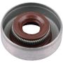 SKF 4923 SKF Seal 4923