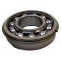 SKF 6209-ZNRJ Bearing