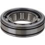 SKF M1305GGTV1 SKF Cylindrical Roller Bearing M1305GGTV1 For GMC Chevrolet