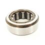 SKF RNU070620-1 Cylindrical Roller Bearing