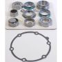 SKF STCK241-GG Transfer Case Rebuild Kit