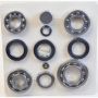 SKF STCK4412 SKF Transfer Case Rebuild Kit STCK4412 For Ford Mercury