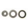SKF WKH941 Wheel Bearing and Seal Kit