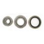 SKF WKH941 Wheel Bearing and Seal Kit