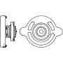 BEHR CRB 17 000P Radiator Cap