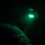 KC HiLiTES 4405 KC Cyclone 2.0 LED - Replacement Lens - Green - Single