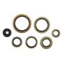 Vertex Pistons 822976 Vertex Gaskets 21-23 Gas-Gas EC250 Oil Seal Kit