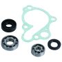 Hot Rods WPK0008 86-02 CR 80 R/96-02 CR 80 RB Big Wheel Water Pump Kit