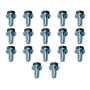 Moroso 38781 Ford C-6 Stamped Steel Transmission Pan Bolts - Set of 17