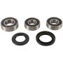 Pivot Works PWRWS-K05-000 95-99 Cagiva RIVER 500 PW Rear Wheel Bearing Kit