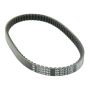 Athena S41PLAT038 Transmission Belts