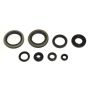 Athena P400510400252 Engine Oil Seal Kits