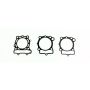 Athena R2506-067 Race Gasket Kits