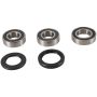 Pivot Works PWRWS-K04-000 98-02 Kawasaki ZX600 (ZX-6R) PW Rear Wheel Bearing Kit