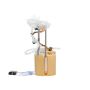 DELPHI FG2186 Fuel Pump Module Assembly