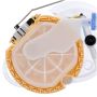 DELPHI FG2186 Fuel Pump Module Assembly