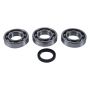 Hot Rods HR00009 04-05 ATP 500 4x4/11-14 Hawkeye 400 HO 2x4 Main Bearing & Seal Kit