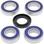 All Balls Racing 25-1533 16-21 Husqvarna 701 Enduro Wheel Bearing Kit Rear