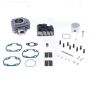 Athena P400485100098 Big Bore Cylinder Kits