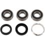 Pivot Works PWRWK-H09-521 Wheel Bearing Kit
