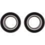 Pivot Works PWRWK-P02-543 Wheel Bearing Kit