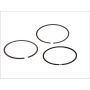 MAHLE 083 20 N0 Engine Piston Ring Set